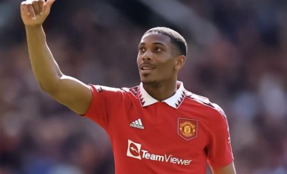 是通过培养 是通过培养